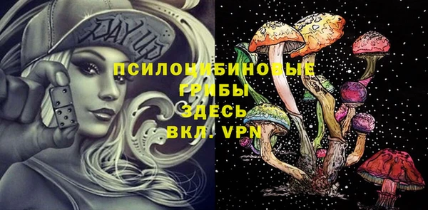 амф Белоозёрский