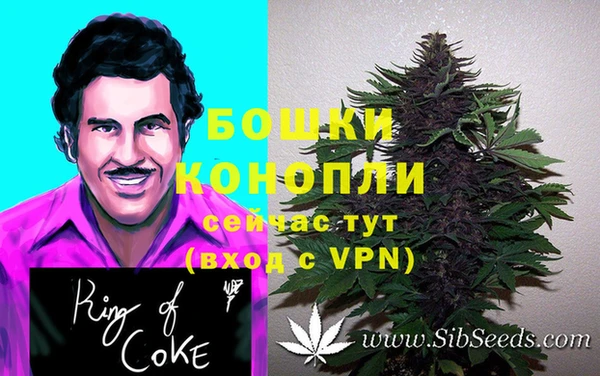 амф Белоозёрский
