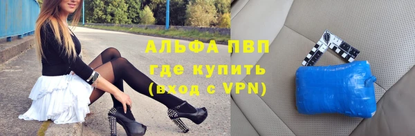 spice Богданович